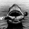 Search For Bruce, The <em>Jaws</em> Shark